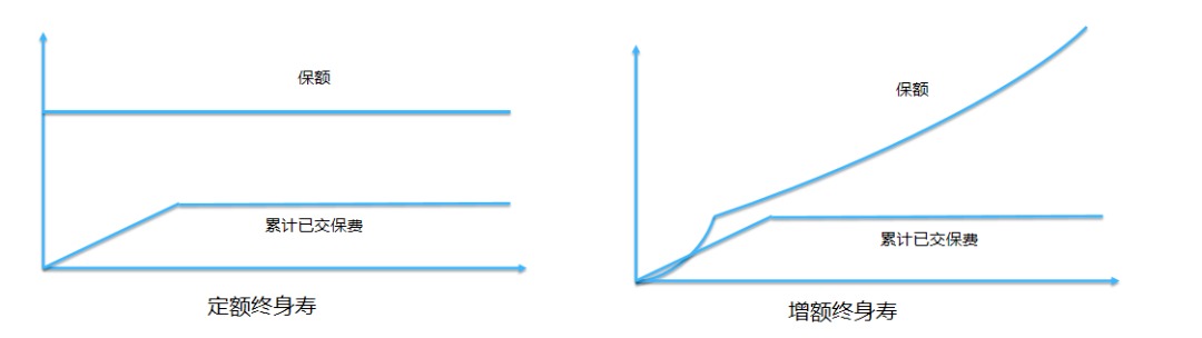 同樣的保障為什么我買的壽險(xiǎn)貴了10倍？