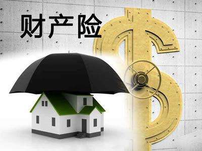 如何選擇財(cái)產(chǎn)保險(xiǎn)來降低財(cái)產(chǎn)損失？