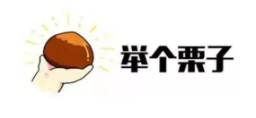 什么是年金轉(zhuǎn)換？