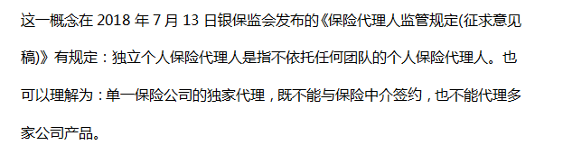 獨(dú)立個人保險代理人