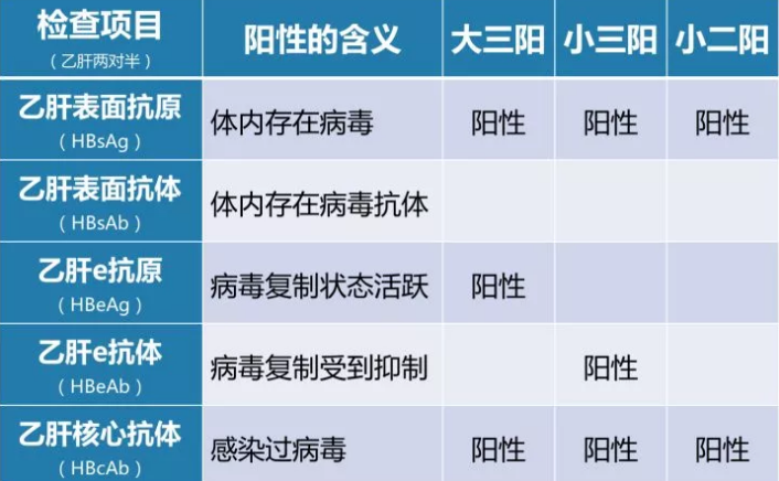 乙肝病毒攜帶者應(yīng)該如何正確投保？