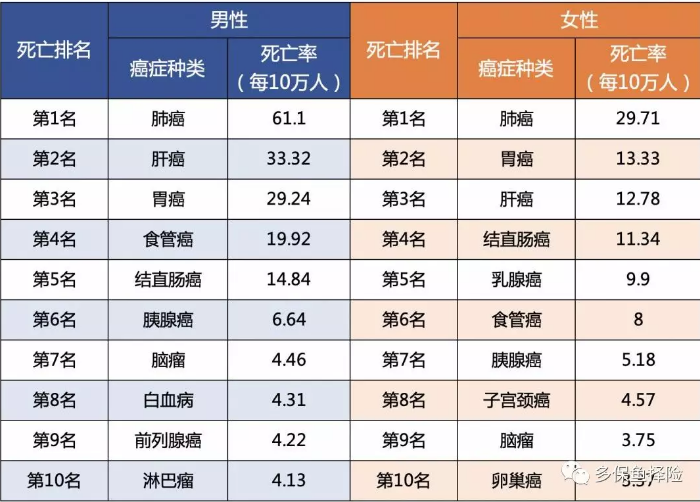 女性高發(fā)重疾怎么選？